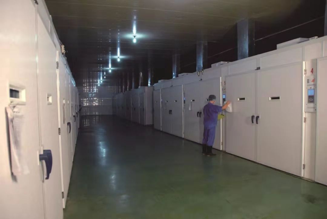 CA88(中国区)唯一官方网站