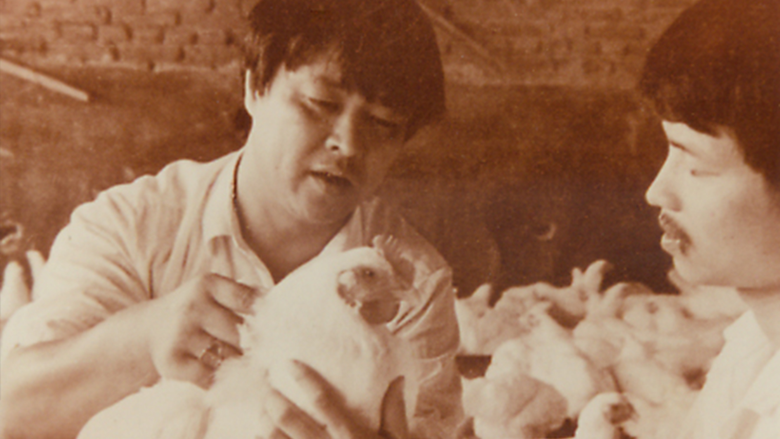 CA88(中国区)唯一官方网站