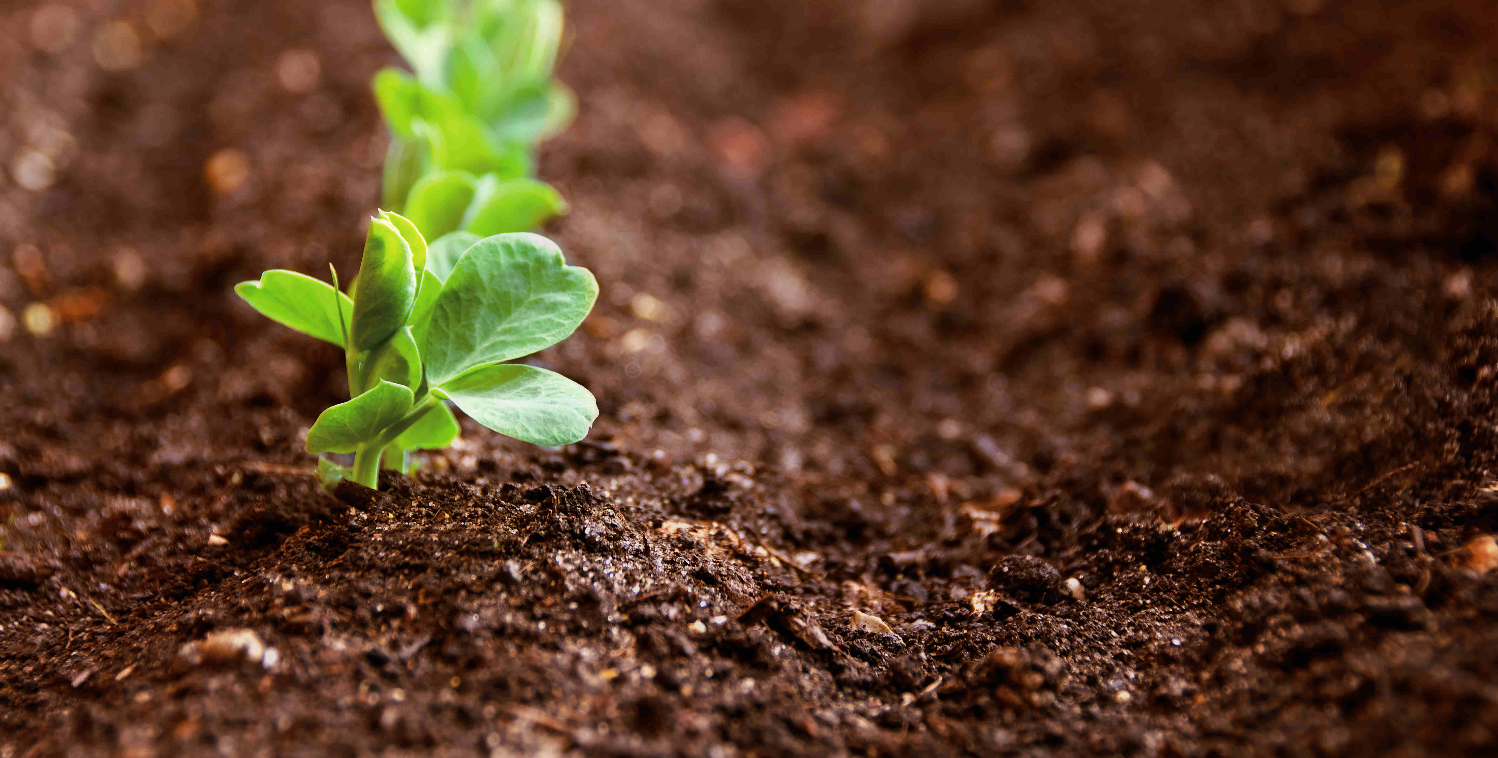 CA88(中国区)唯一官方网站