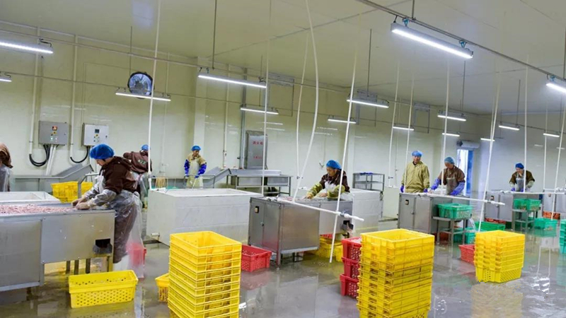 CA88(中国区)唯一官方网站