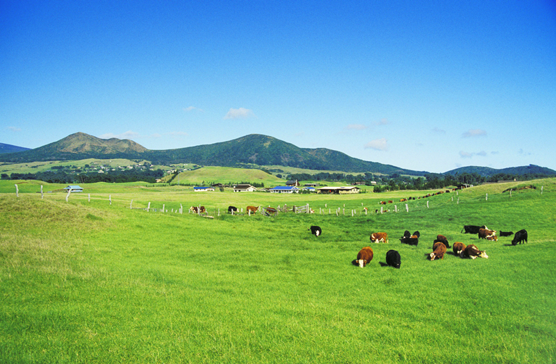 CA88(中国区)唯一官方网站